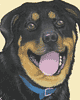 Rottweiler airbrush acrylic painting on canvas