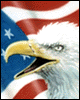 Bald Eagle airbrush painting on shirt